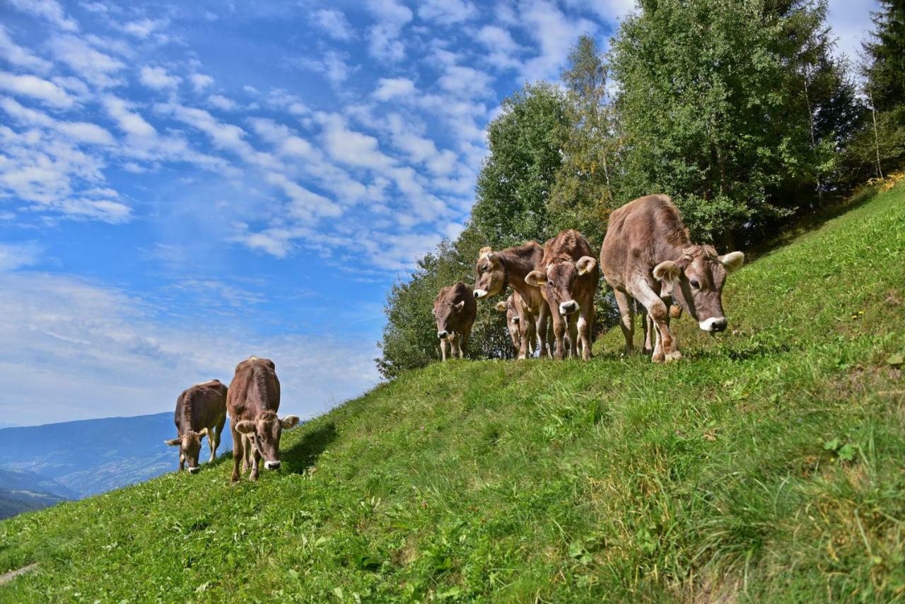 Obererhof Apartman Sant'Andrea in Monte Kültér fotó